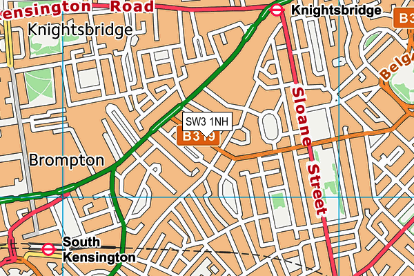 SW3 1NH map - OS VectorMap District (Ordnance Survey) SW3 1NH map - OS VectorMap District (Ordnance Survey)