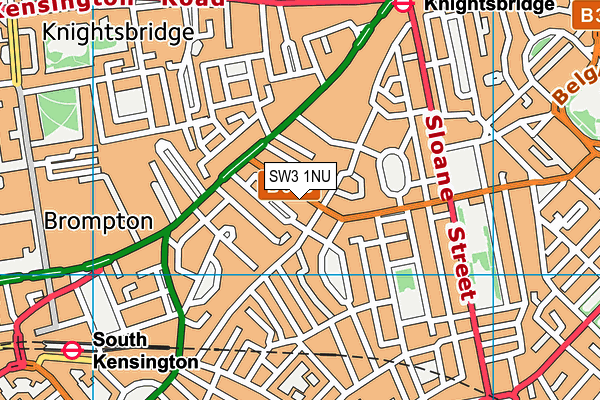 SW3 1NU map - OS VectorMap District (Ordnance Survey) SW3 1NU map - OS VectorMap District (Ordnance Survey)