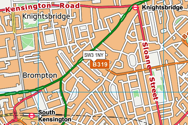 SW3 1NY map - OS VectorMap District (Ordnance Survey) SW3 1NY map - OS VectorMap District (Ordnance Survey)