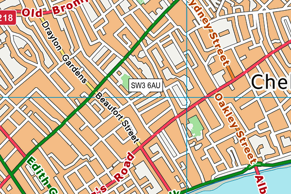 SW3 6AU map - OS VectorMap District (Ordnance Survey) SW3 6AU map - OS VectorMap District (Ordnance Survey)