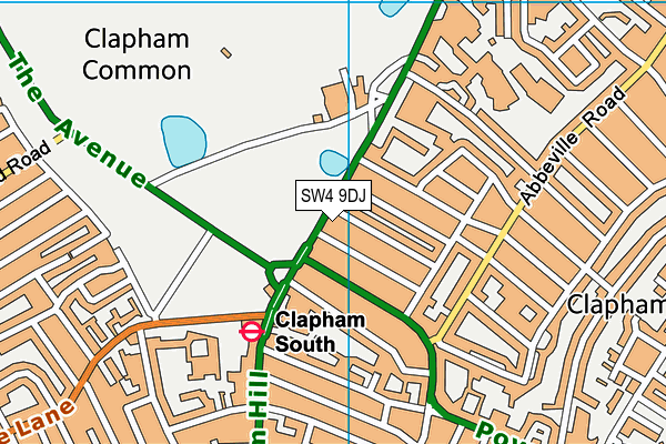SW4 9DJ map - OS VectorMap District (Ordnance Survey) SW4 9DJ map - OS VectorMap District (Ordnance Survey)