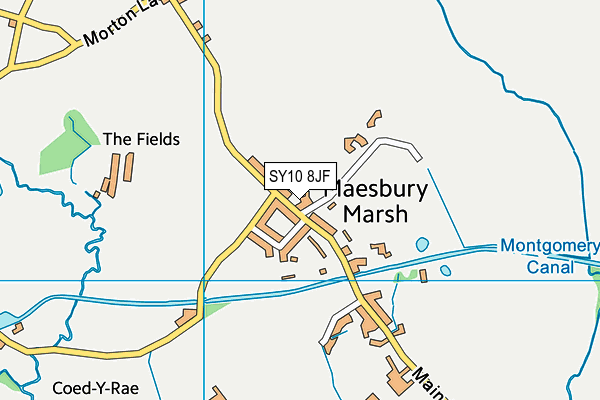 SY10 8JF map - OS VectorMap District (Ordnance Survey) SY10 8JF map - OS VectorMap District (Ordnance Survey)