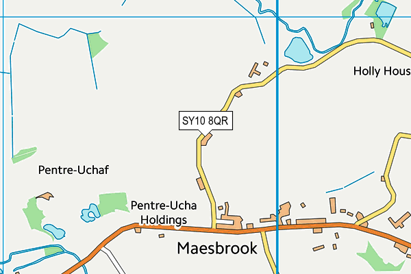 SY10 8QR map - OS VectorMap District (Ordnance Survey) SY10 8QR map - OS VectorMap District (Ordnance Survey)