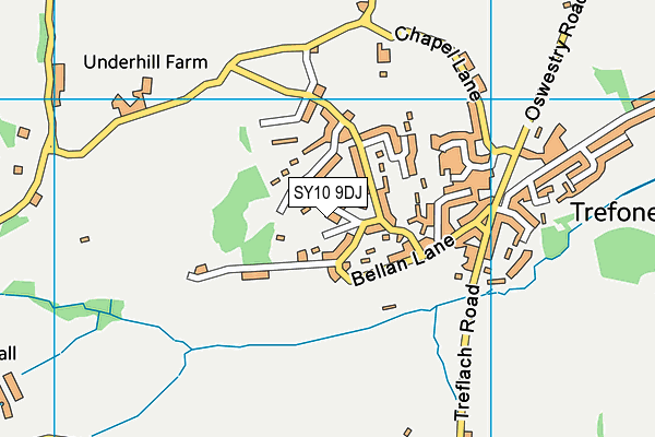 SY10 9DJ map - OS VectorMap District (Ordnance Survey) SY10 9DJ map - OS VectorMap District (Ordnance Survey)
