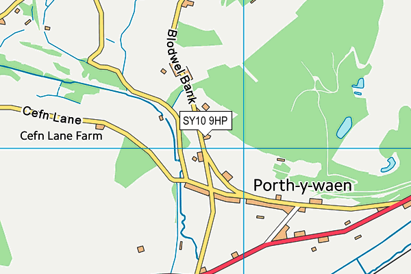 SY10 9HP map - OS VectorMap District (Ordnance Survey)