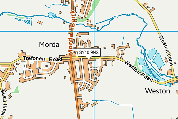 SY10 9NS map - OS VectorMap District (Ordnance Survey) SY10 9NS map - OS VectorMap District (Ordnance Survey)