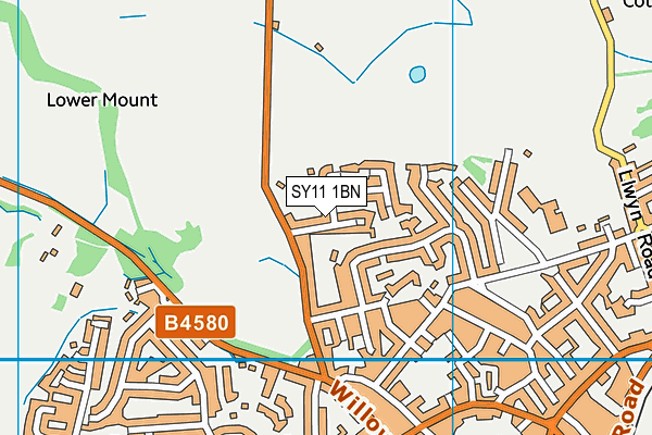 SY11 1BN map - OS VectorMap District (Ordnance Survey) SY11 1BN map - OS VectorMap District (Ordnance Survey)
