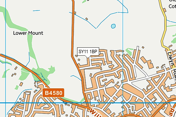 SY11 1BP map - OS VectorMap District (Ordnance Survey)