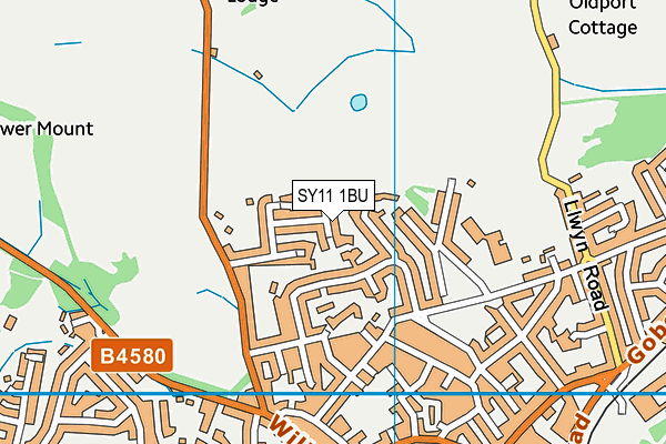 SY11 1BU map - OS VectorMap District (Ordnance Survey) SY11 1BU map - OS VectorMap District (Ordnance Survey)