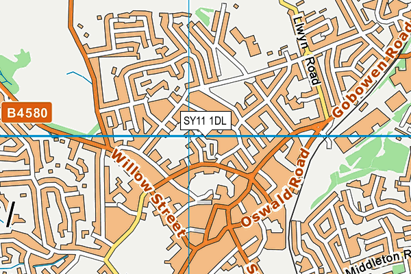 SY11 1DL map - OS VectorMap District (Ordnance Survey) SY11 1DL map - OS VectorMap District (Ordnance Survey)