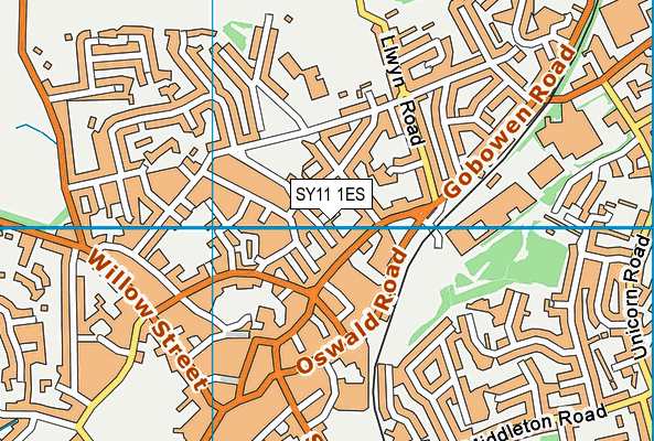 SY11 1ES map - OS VectorMap District (Ordnance Survey) SY11 1ES map - OS VectorMap District (Ordnance Survey)