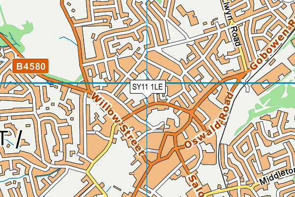 SY11 1LE map - OS VectorMap District (Ordnance Survey) SY11 1LE map - OS VectorMap District (Ordnance Survey)