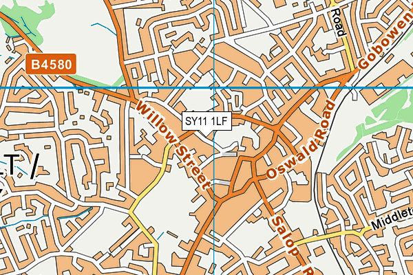 SY11 1LF map - OS VectorMap District (Ordnance Survey) SY11 1LF map - OS VectorMap District (Ordnance Survey)