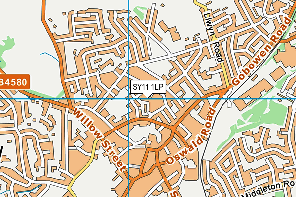 SY11 1LP map - OS VectorMap District (Ordnance Survey) SY11 1LP map - OS VectorMap District (Ordnance Survey)