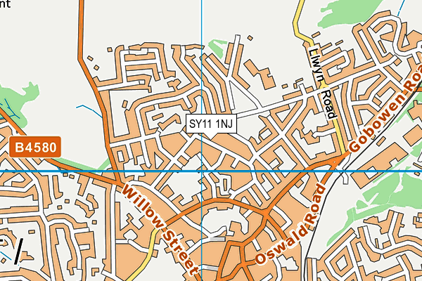 SY11 1NJ map - OS VectorMap District (Ordnance Survey) SY11 1NJ map - OS VectorMap District (Ordnance Survey)