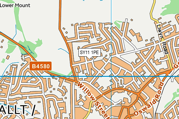 SY11 1PE map - OS VectorMap District (Ordnance Survey) SY11 1PE map - OS VectorMap District (Ordnance Survey)