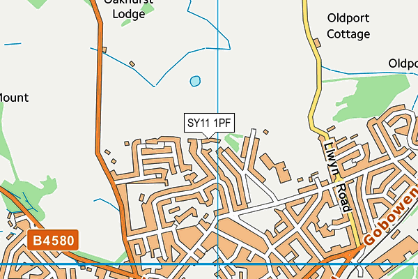 SY11 1PF map - OS VectorMap District (Ordnance Survey) SY11 1PF map - OS VectorMap District (Ordnance Survey)