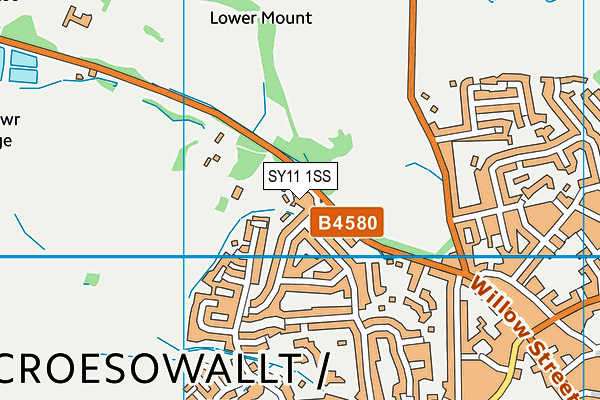 SY11 1SS map - OS VectorMap District (Ordnance Survey) SY11 1SS map - OS VectorMap District (Ordnance Survey)