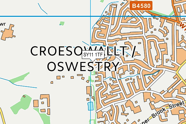 SY11 1TF map - OS VectorMap District (Ordnance Survey) SY11 1TF map - OS VectorMap District (Ordnance Survey)