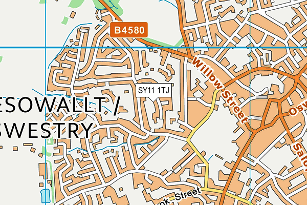 SY11 1TJ map - OS VectorMap District (Ordnance Survey) SY11 1TJ map - OS VectorMap District (Ordnance Survey)