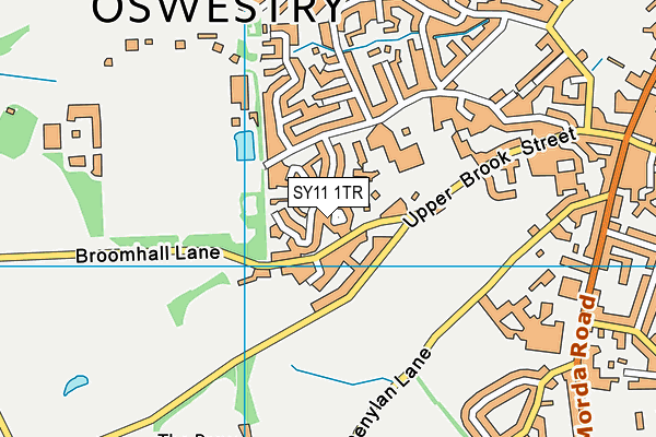 SY11 1TR map - OS VectorMap District (Ordnance Survey) SY11 1TR map - OS VectorMap District (Ordnance Survey)