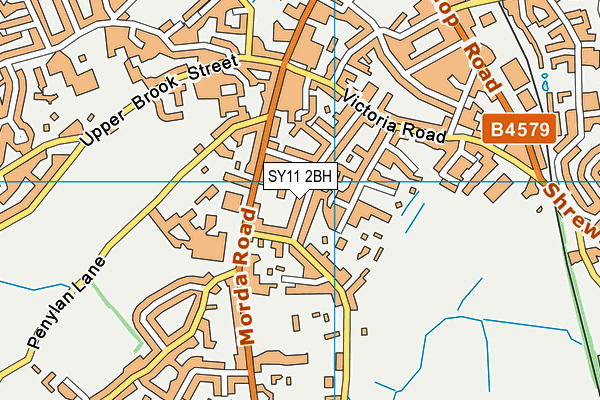SY11 2BH map - OS VectorMap District (Ordnance Survey) SY11 2BH map - OS VectorMap District (Ordnance Survey)