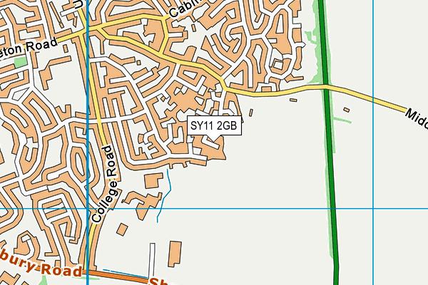 SY11 2GB map - OS VectorMap District (Ordnance Survey)