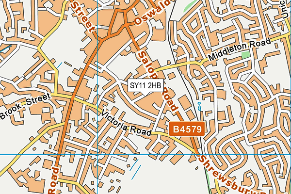 SY11 2HB map - OS VectorMap District (Ordnance Survey) SY11 2HB map - OS VectorMap District (Ordnance Survey)