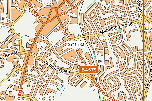 SY11 2RJ map - OS VectorMap District (Ordnance Survey) SY11 2RJ map - OS VectorMap District (Ordnance Survey)