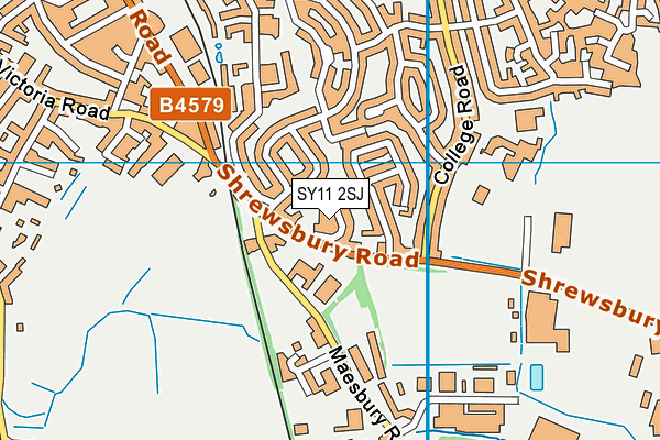 SY11 2SJ map - OS VectorMap District (Ordnance Survey) SY11 2SJ map - OS VectorMap District (Ordnance Survey)