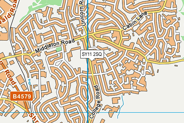 SY11 2SQ map - OS VectorMap District (Ordnance Survey) SY11 2SQ map - OS VectorMap District (Ordnance Survey)