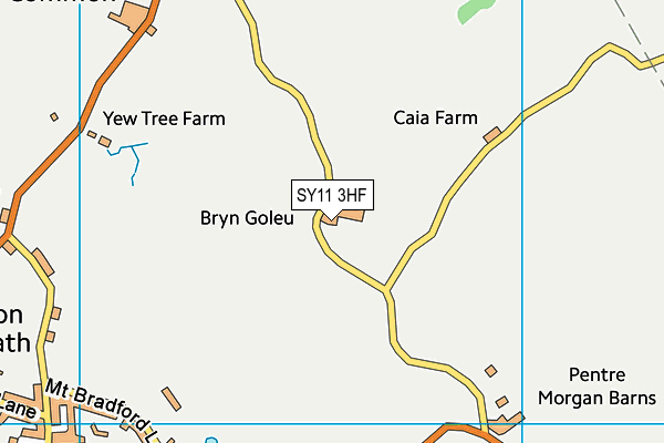 SY11 3HF map - OS VectorMap District (Ordnance Survey) SY11 3HF map - OS VectorMap District (Ordnance Survey)