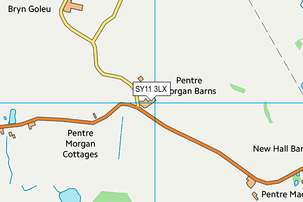 SY11 3LX map - OS VectorMap District (Ordnance Survey)