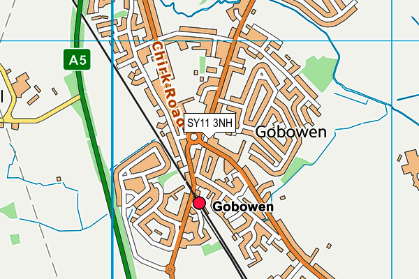 SY11 3NH map - OS VectorMap District (Ordnance Survey) SY11 3NH map - OS VectorMap District (Ordnance Survey)