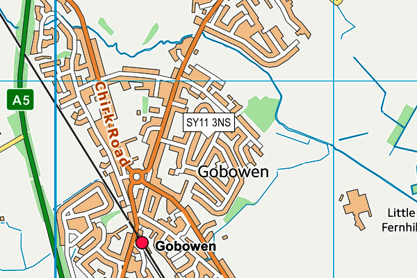 SY11 3NS map - OS VectorMap District (Ordnance Survey) SY11 3NS map - OS VectorMap District (Ordnance Survey)
