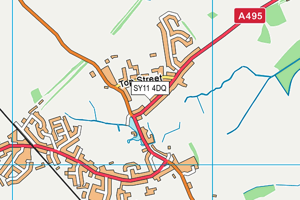 SY11 4DQ map - OS VectorMap District (Ordnance Survey) SY11 4DQ map - OS VectorMap District (Ordnance Survey)