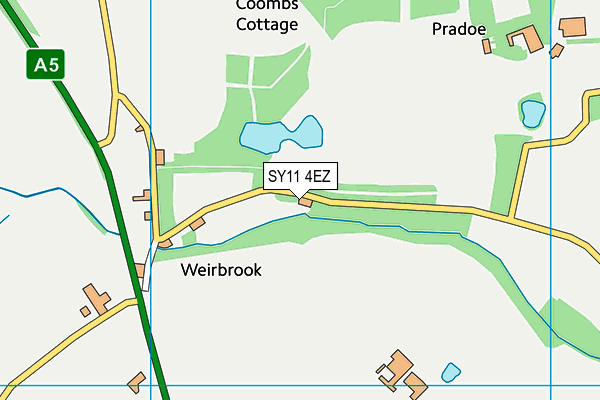 SY11 4EZ map - OS VectorMap District (Ordnance Survey) SY11 4EZ map - OS VectorMap District (Ordnance Survey)