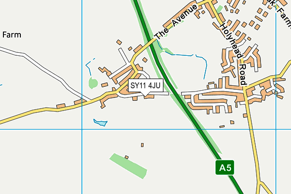 SY11 4JU map - OS VectorMap District (Ordnance Survey) SY11 4JU map - OS VectorMap District (Ordnance Survey)