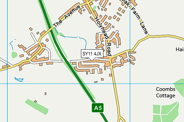 SY11 4JX map - OS VectorMap District (Ordnance Survey) SY11 4JX map - OS VectorMap District (Ordnance Survey)