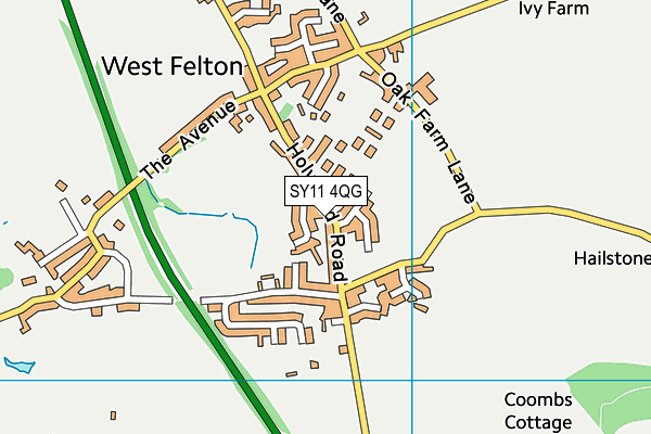SY11 4QG map - OS VectorMap District (Ordnance Survey) SY11 4QG map - OS VectorMap District (Ordnance Survey)