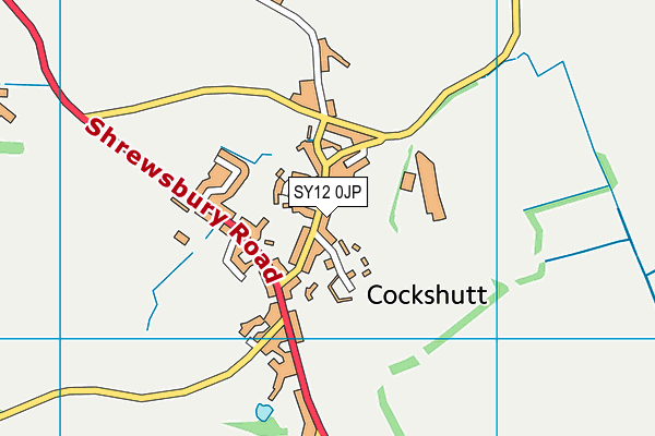 SY12 0JP map - OS VectorMap District (Ordnance Survey) SY12 0JP map - OS VectorMap District (Ordnance Survey)