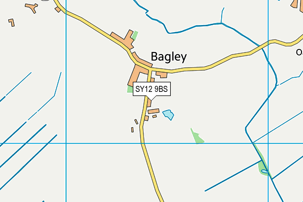 SY12 9BS map - OS VectorMap District (Ordnance Survey) SY12 9BS map - OS VectorMap District (Ordnance Survey)