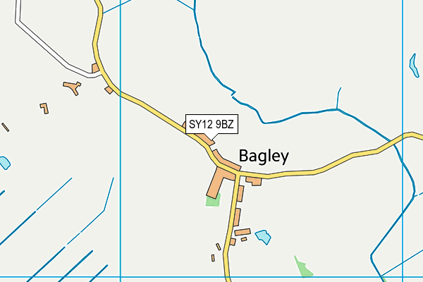 SY12 9BZ map - OS VectorMap District (Ordnance Survey) SY12 9BZ map - OS VectorMap District (Ordnance Survey)