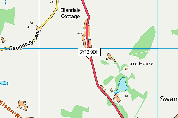 SY12 9DH map - OS VectorMap District (Ordnance Survey) SY12 9DH map - OS VectorMap District (Ordnance Survey)
