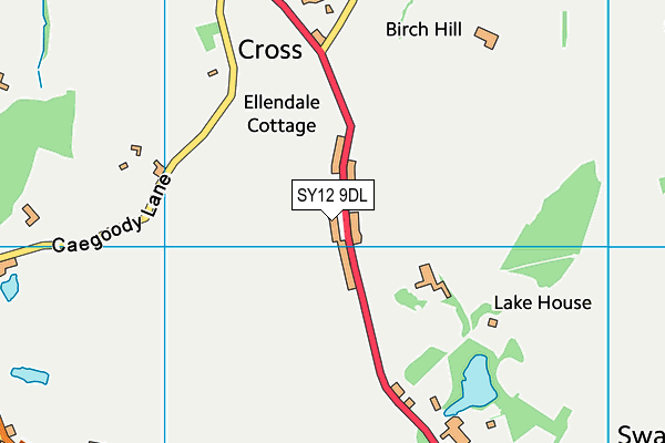 SY12 9DL map - OS VectorMap District (Ordnance Survey) SY12 9DL map - OS VectorMap District (Ordnance Survey)