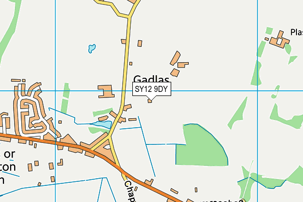 SY12 9DY map - OS VectorMap District (Ordnance Survey) SY12 9DY map - OS VectorMap District (Ordnance Survey)