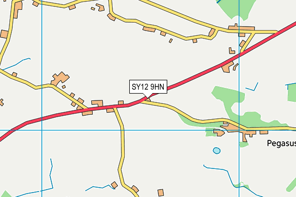 SY12 9HN map - OS VectorMap District (Ordnance Survey) SY12 9HN map - OS VectorMap District (Ordnance Survey)