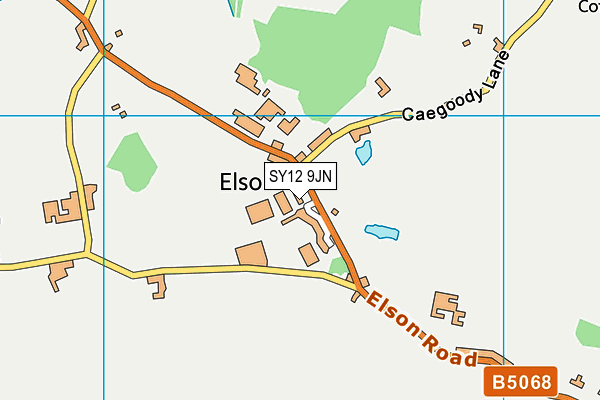 SY12 9JN map - OS VectorMap District (Ordnance Survey) SY12 9JN map - OS VectorMap District (Ordnance Survey)