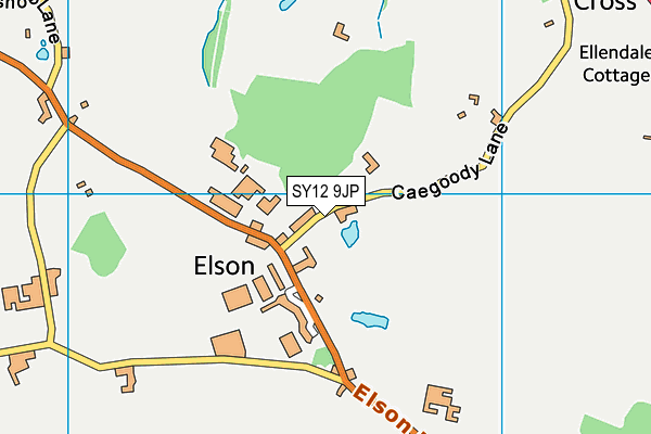 SY12 9JP map - OS VectorMap District (Ordnance Survey) SY12 9JP map - OS VectorMap District (Ordnance Survey)