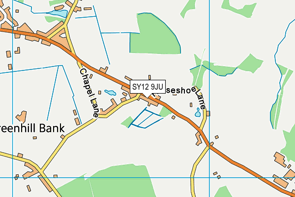 SY12 9JU map - OS VectorMap District (Ordnance Survey) SY12 9JU map - OS VectorMap District (Ordnance Survey)